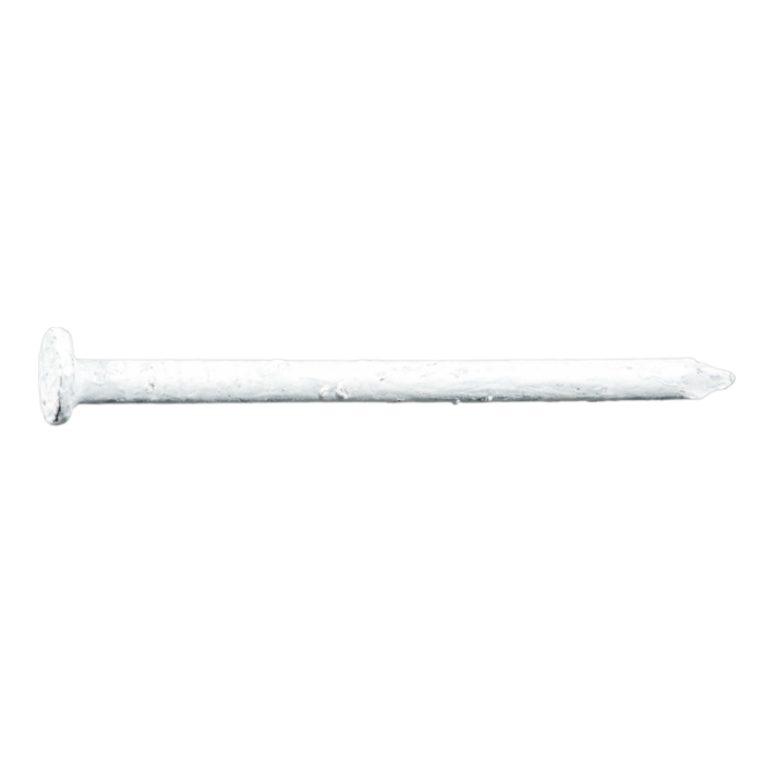 Trim Nail Wht SS, 15ga x 1-1/4