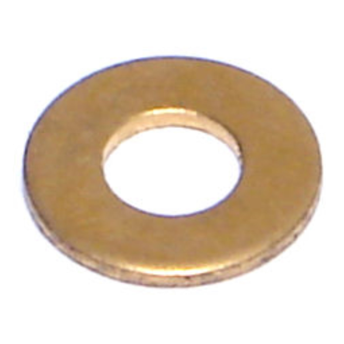 SAE Fl Wash Br, #10