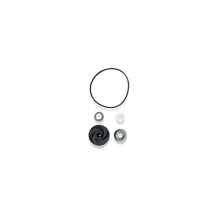 WAYNE Water Systems PC4 Repair Kit