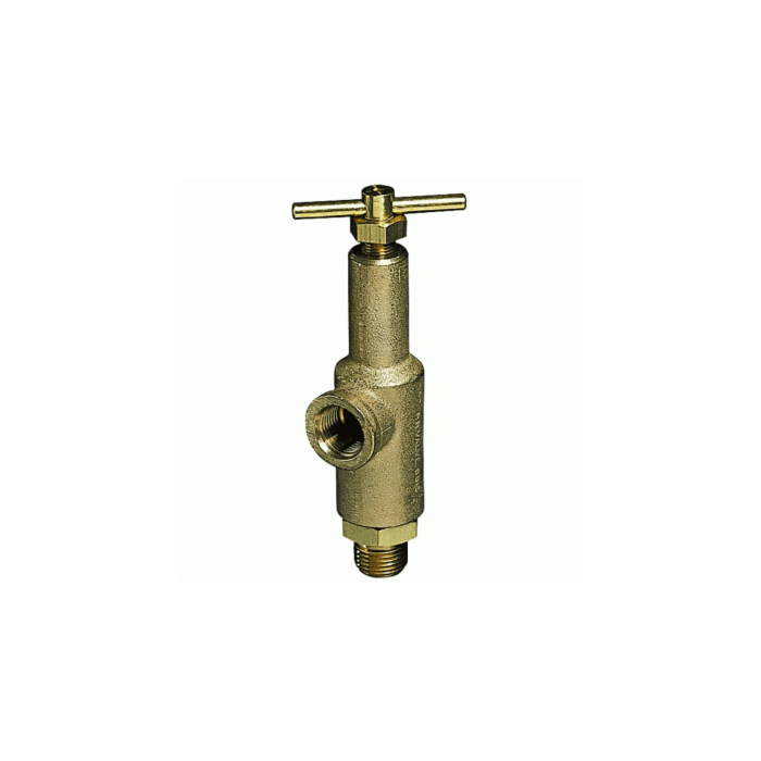 TeeJet 1/2 in MNPT Connection Type 1200 psi Pressure Relief Valve