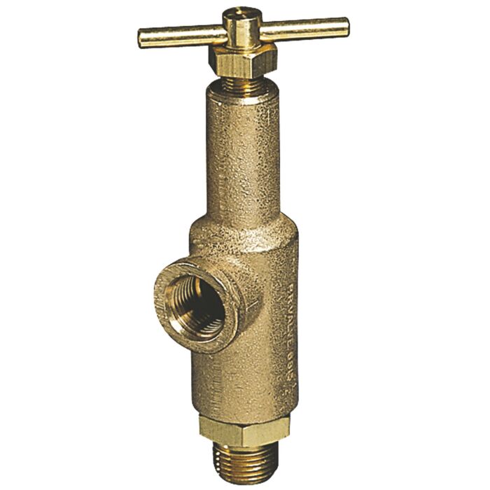 TeeJet 3/4 in MNPT Connection Type 300 - 700 psi Pressure Relief Valve