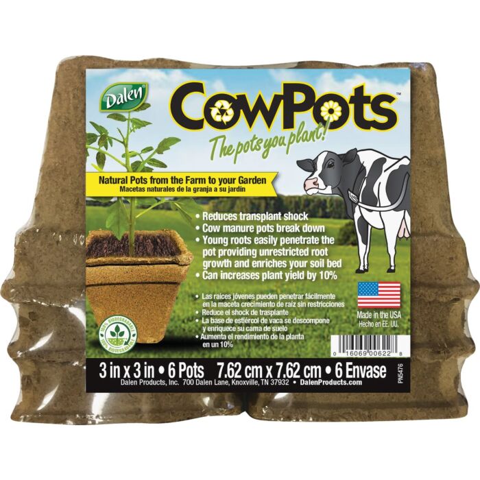 Dalen CowPots Square Manure Grow Pot (6pk) 3 in.