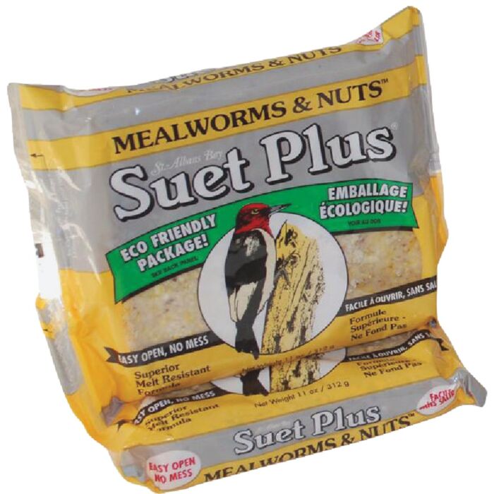 Suet Plus Mealworm & Nut Suet - 11 oz