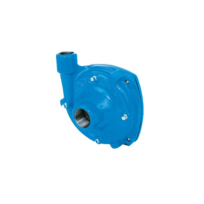 Pentair 1-1/4" NPT Suction x 1" NPT Discharge Pedestal Centrifugal Pump, 5/8" Round Shaft