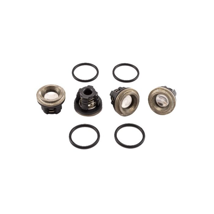 Valve Kit (D30)