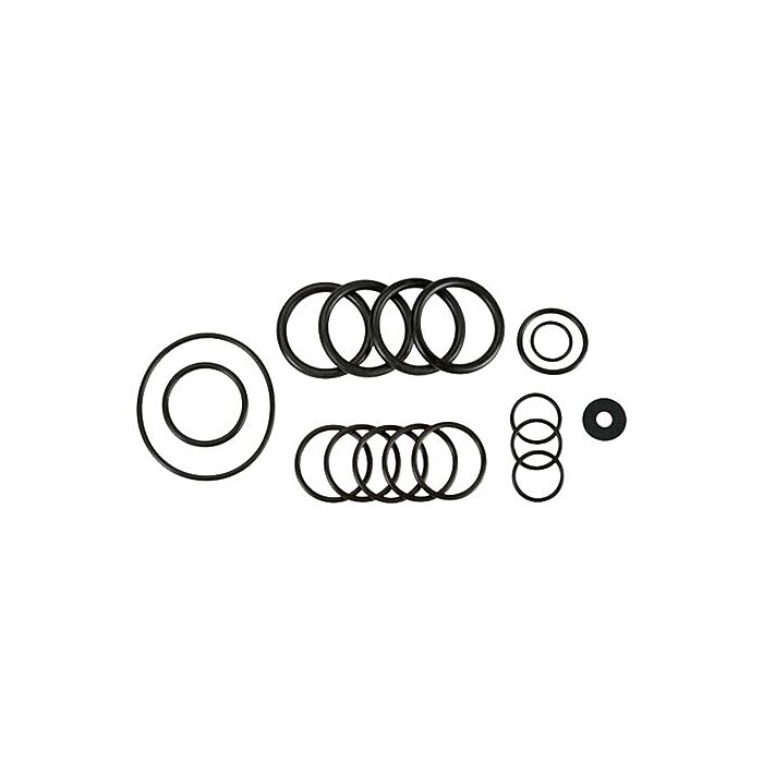 AR D-135 Diaphragm Pumps O-Ring Kit
