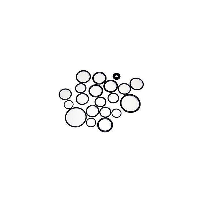 AR D-30 Diaphragm Pumps O-Ring Kit