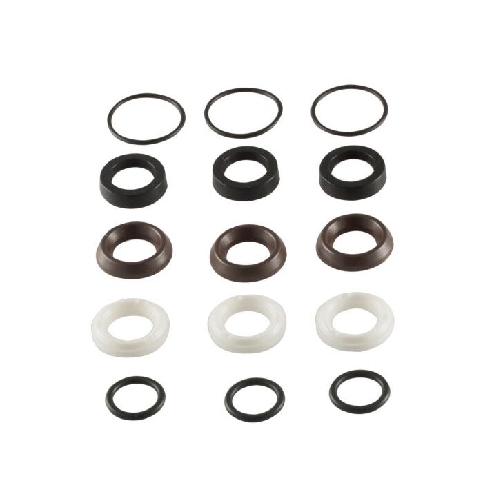 AR RSV Pumps Seal Kit