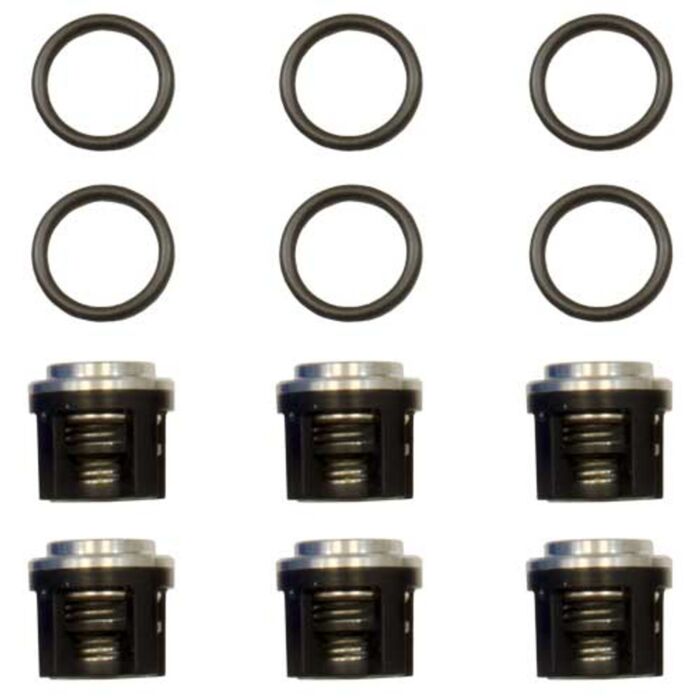 AR RK RKA RCW & RW Series Pump Check Valve Kit