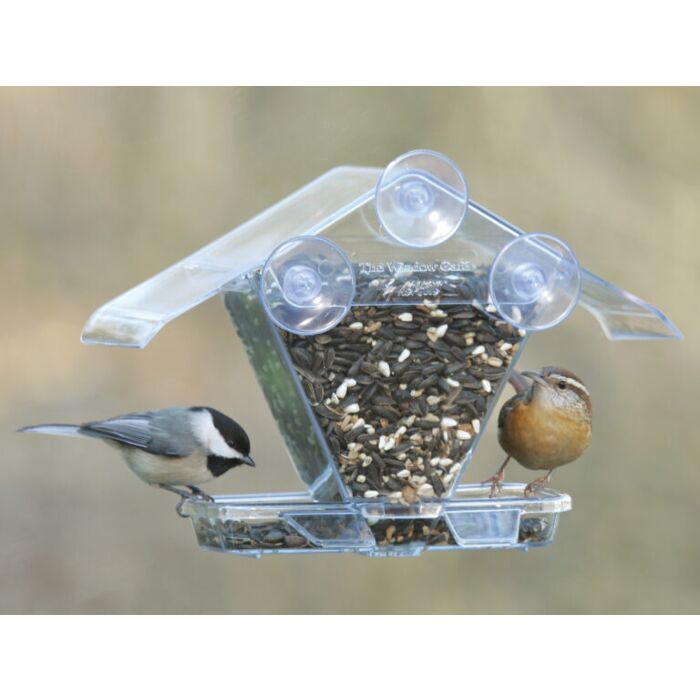 Aspects Plastic Window Cafe Bird Feeder