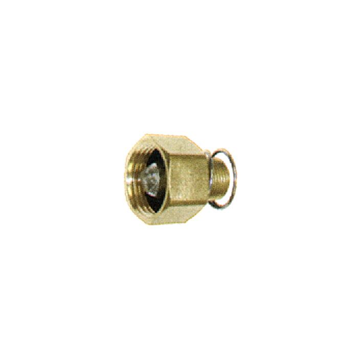 . 3/4 in Pressure Washer Pump Inlet