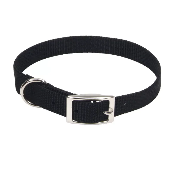 Coastal Pet Medium 16 in 3/4 in Dog Collar