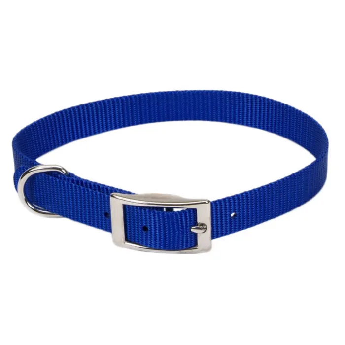 Coastal Pet Medium 16 in 3/4 in Dog Collar