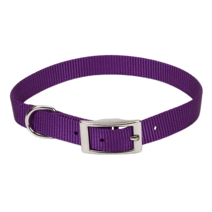 Coastal Pet Medium 16 in 3/4 in Dog Collar