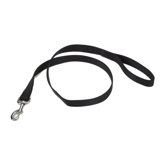 Coastal Pet Medium Bolt Snap Nylon 1-Ply Dog Leash