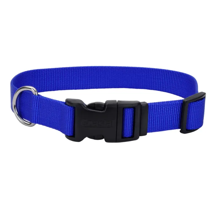 Coastal Pet Medium 14-20 in 3/4 in Adjustable Dog Collar