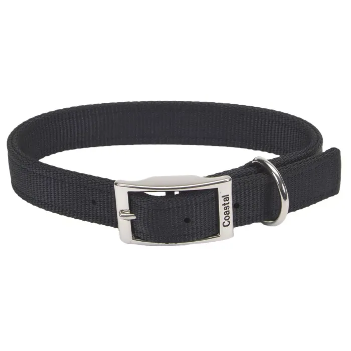 Coastal Pet Medium 20 in 1 in Dog Collar