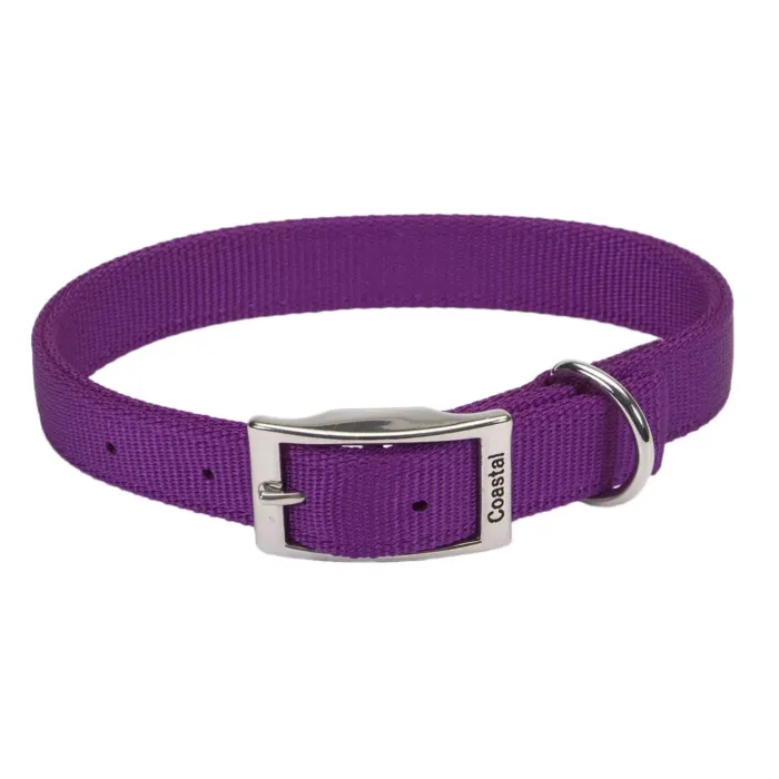 Coastal Pet Medium 20 in 1 in Dog Collar