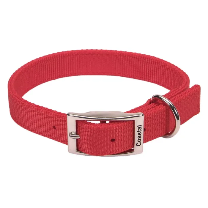 Coastal Pet Large 24 in 1 in Dog Collar