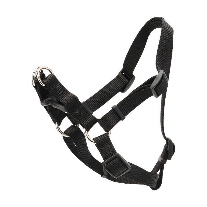 Coastal Pet Dog Harness 3/4"x 20-30" Black