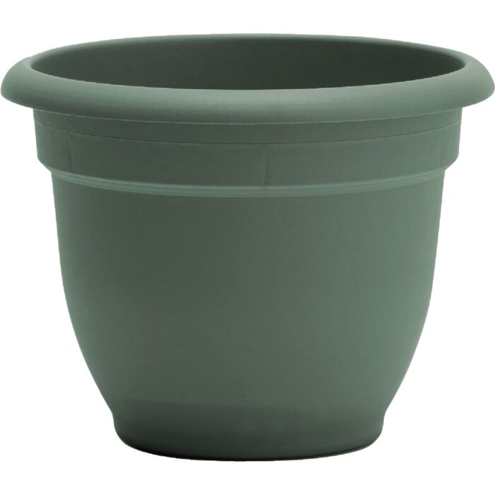 Bloem Ariana Self-Watering Plastic Planter (Basil Green) 12 in.