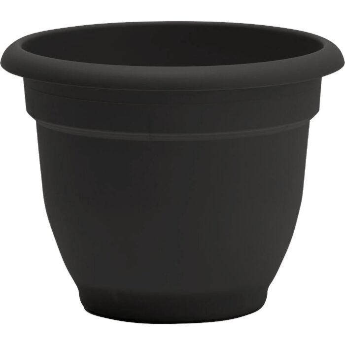 Bloem Ariana Self-Watering Plastic Planter (Black) 12 in.
