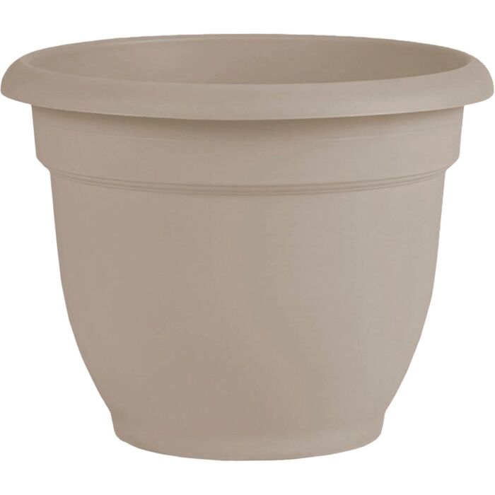 Bloem Ariana Self-Watering Plastic Planter (Pebble Brown) 12 in.
