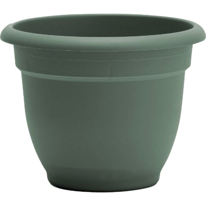 Bloem Ariana Self-Watering Plastic Planter (Basil Green) 6 in.