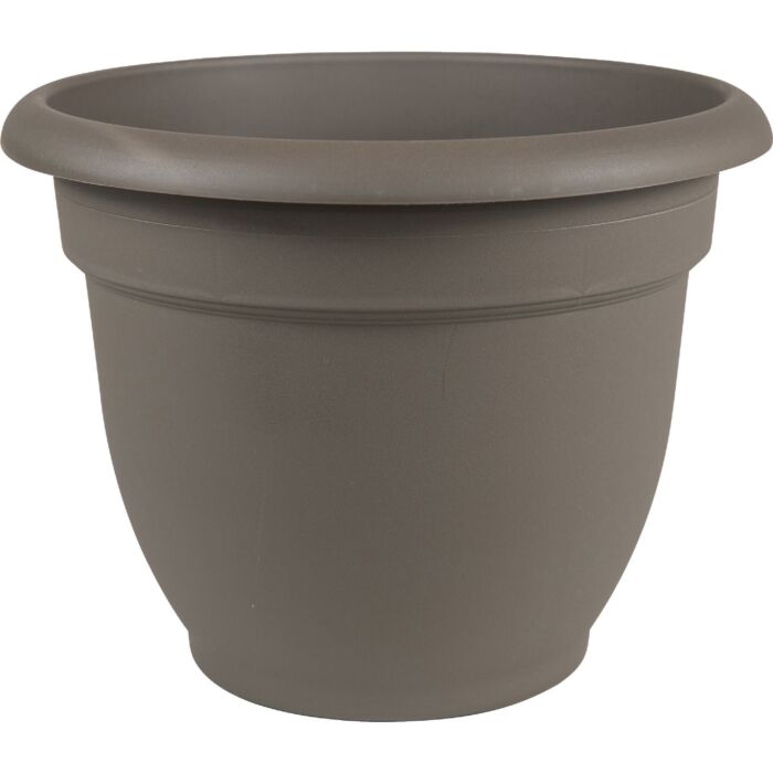 Bloem Ariana Self-Watering Plastic Planter (Charcoal) 6 in.