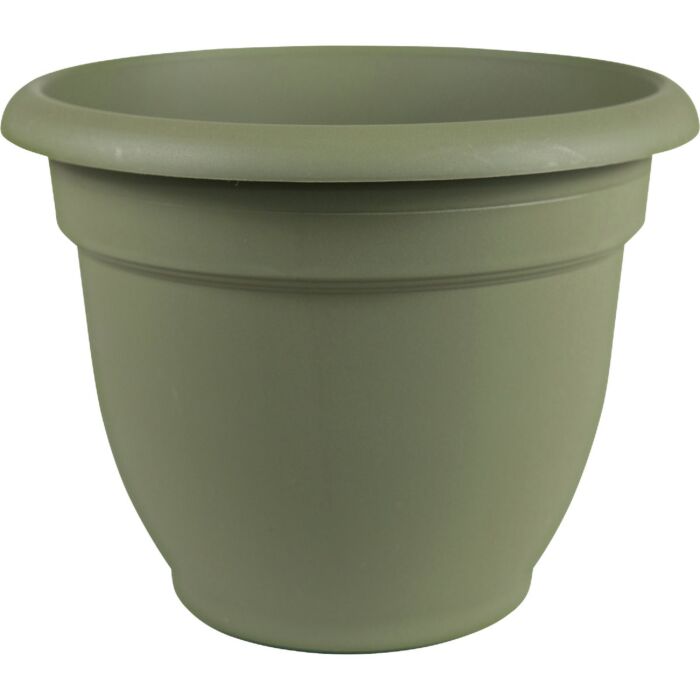 Bloem Ariana Self-Watering Plastic Planter (Thyme Green) 6 in.