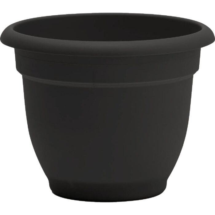 Bloem Ariana Self-Watering Plastic Planter (Black) 8 in.