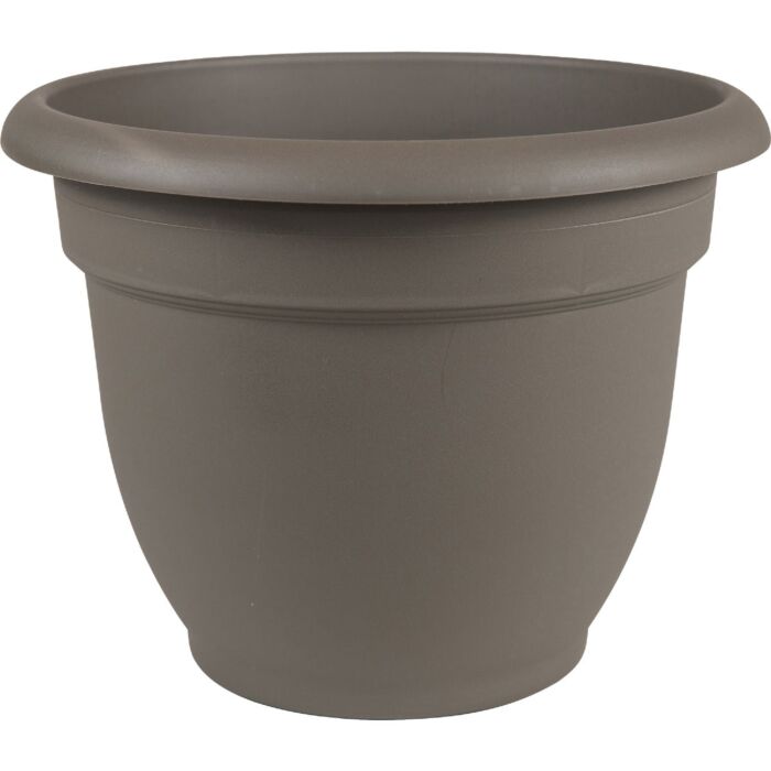Bloem Ariana Self-Watering Plastic Planter (Charcoal) 8 in.