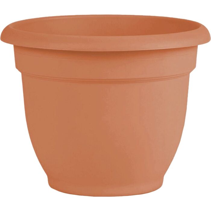 Bloem Ariana Self-Watering Plastic Planter (Terra Cotta) 8 in.