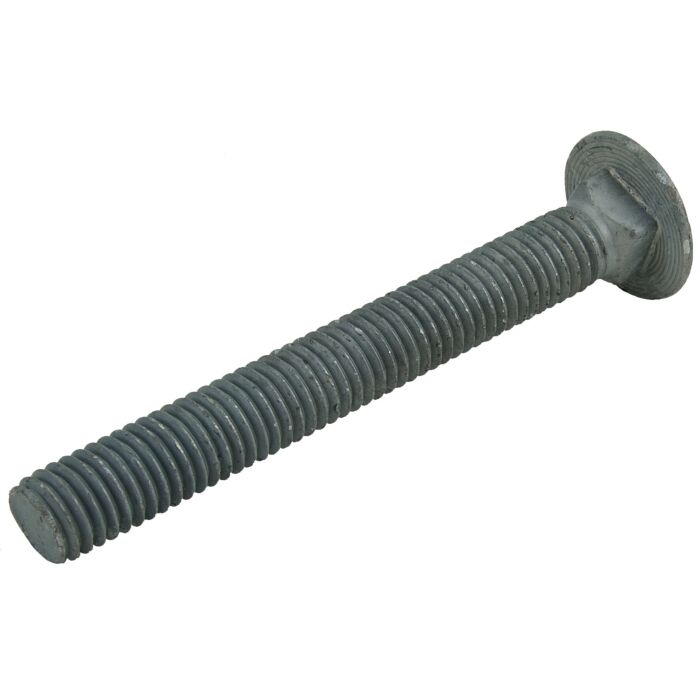 Titan™ 1/2-13 4 in Steel Grade 2 Carriage Bolt