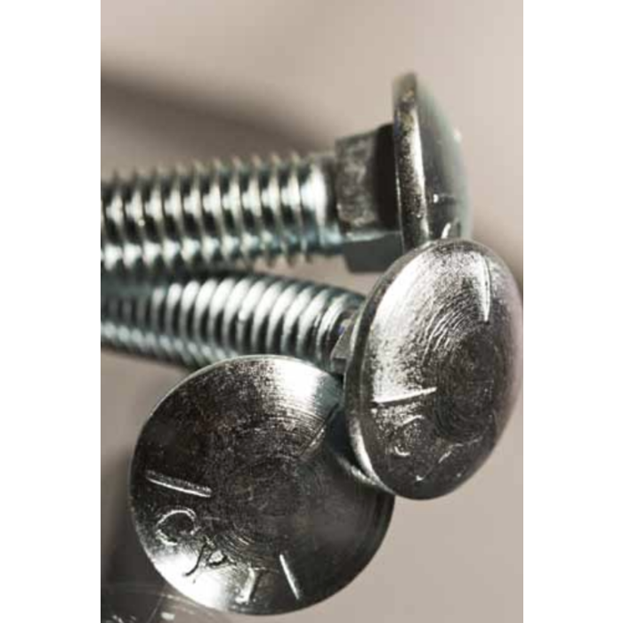 Carriage Bolt 5/16" x 3/4" SS