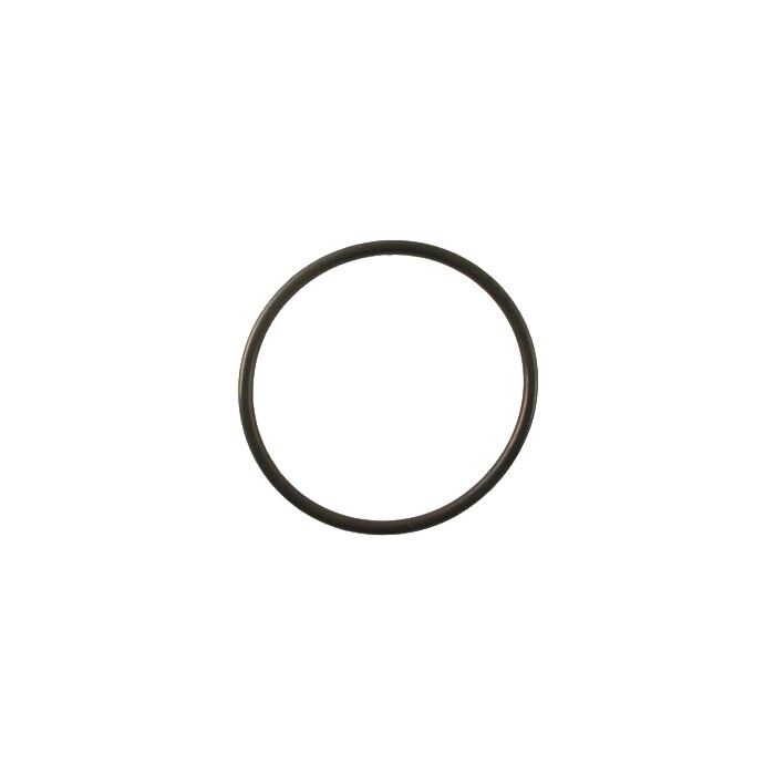 TeeJet EPDM Strainer Bowl Gasket for AA122