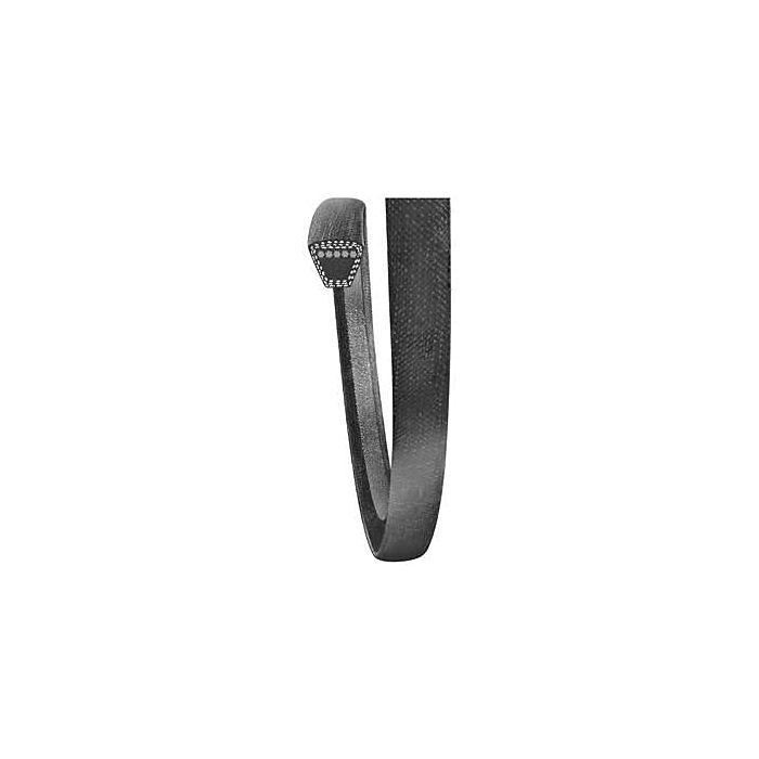 Jason Megadyne C 51 in Rubber V-Belt