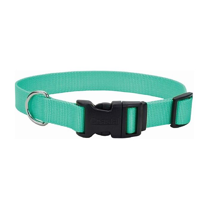 Coastal Pet Dog Collar 1"x18-26" Teal