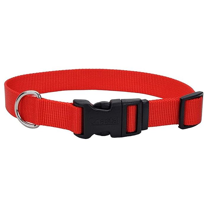 Coastal Pet Dog Collar 5/8"x 10-14" Red