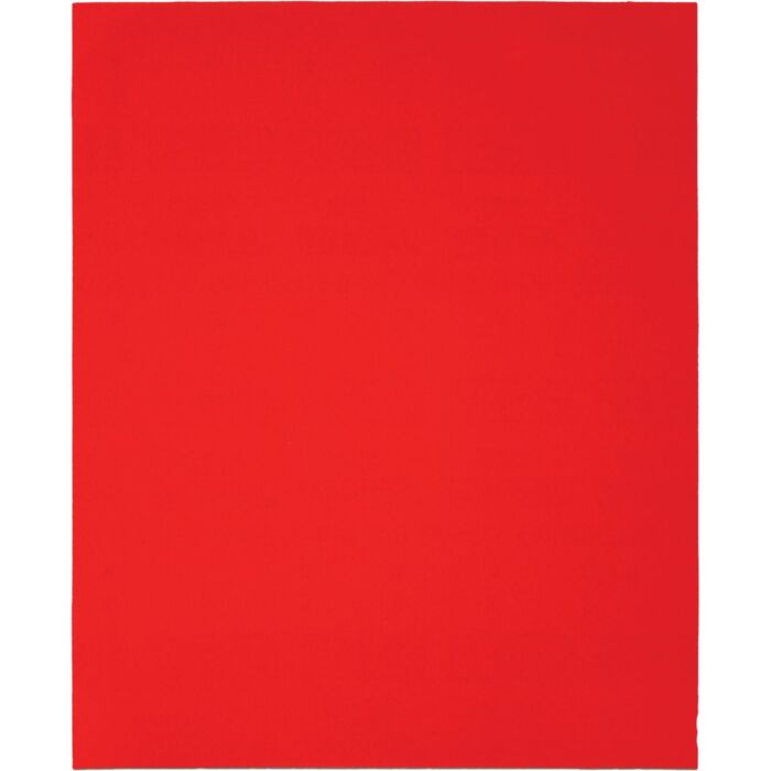 Diablo 9 In. x 11 In. 60-Grit (Coarse) Single Sanding Sheet 