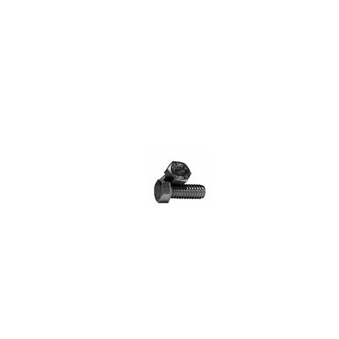 Brighton-Best 1/2-13 in 8 in Coarse SS Hex Head Bolt