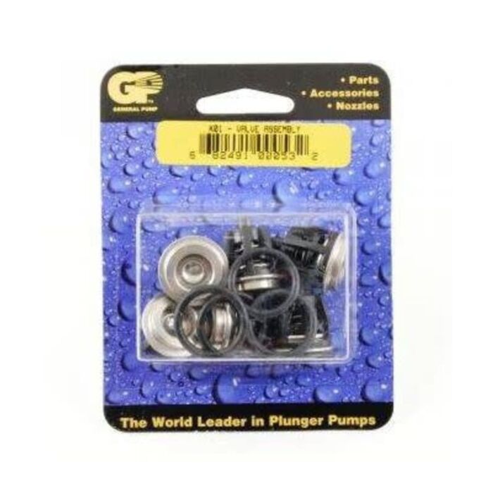 General Pump Company TSF2021 TSF2221 TSF2421 Pumps Valve Kit