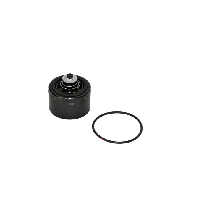Fill-Rite FR700 Series Pumps Check Valve Kit