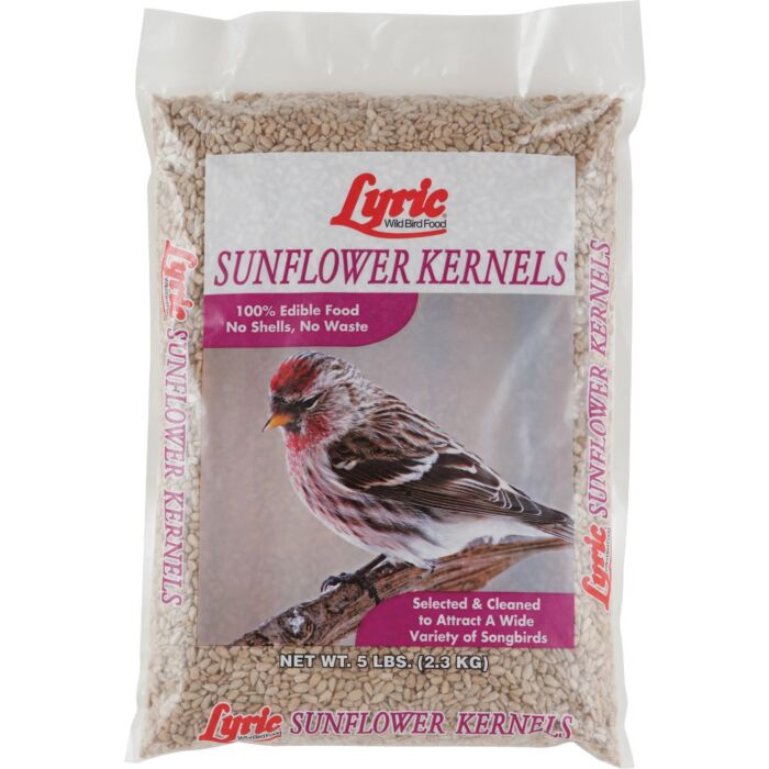 Lyric Sunflower Bird Seed - 5 lb
