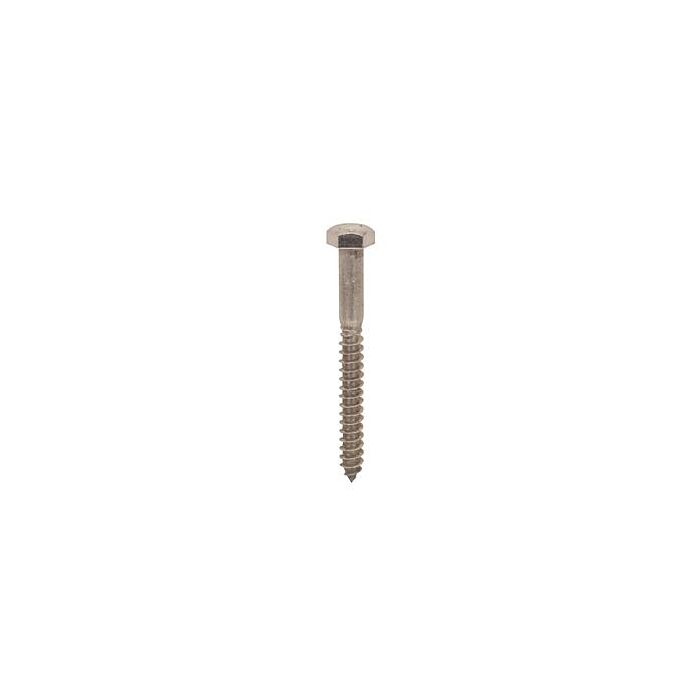 Star Stainless 3/8 in Hex 3 in Stainless Steel Lag Screw