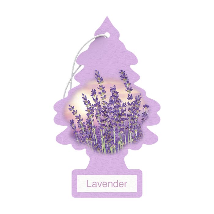 Little Trees Lavender Air Freshener (1pk)