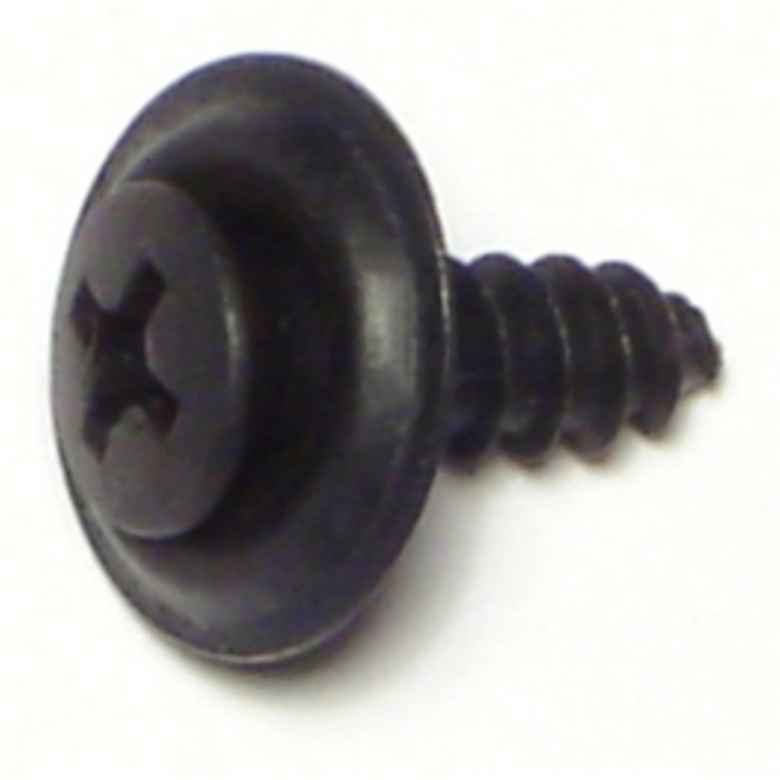 #10 x 5/8" Phillips Oval Head, Automotive Trim Screw, Black