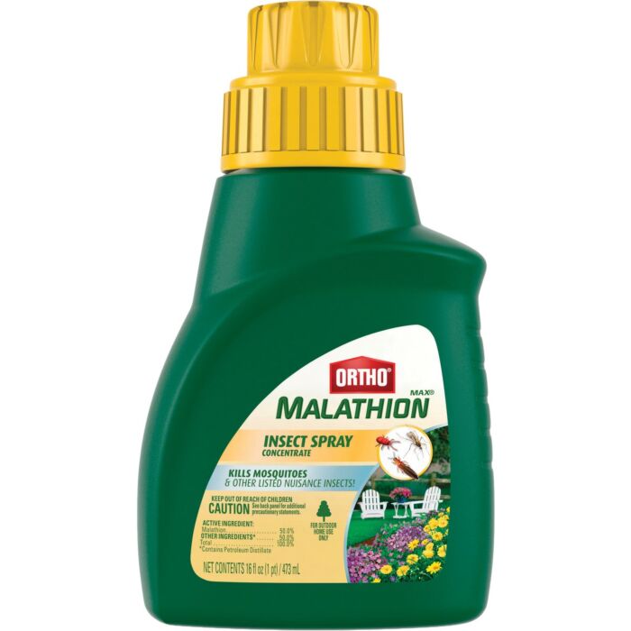Ortho MAX Malathion Insect Killer Spray Concentrate - 16 oz