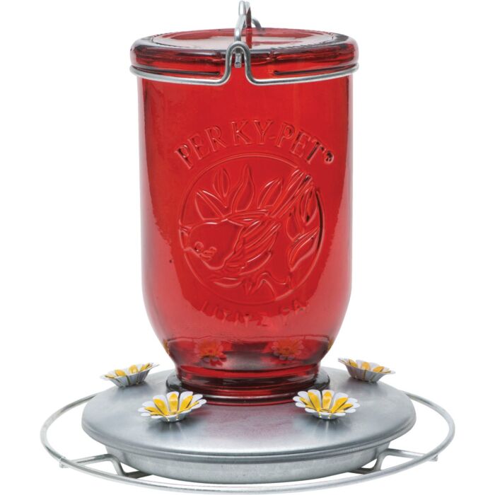 Perky-Pet Glass Mason Jar Hummingbird Feeder - 32 oz Capacity