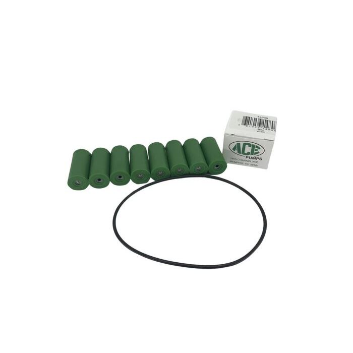 ACE PUMPS 8-Roller Repair Kit